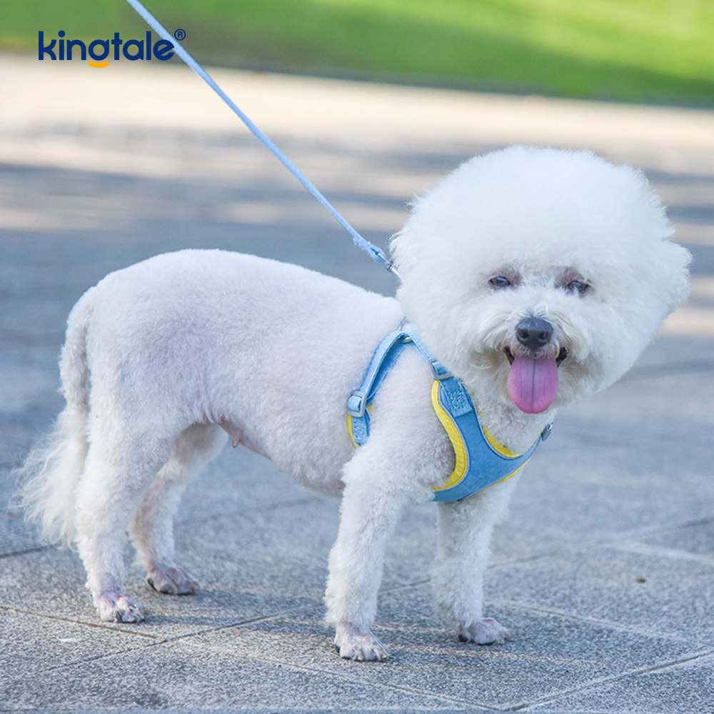 Conjunto de arnês e trela ajustável de couro para cães pequenos e gatos com strass