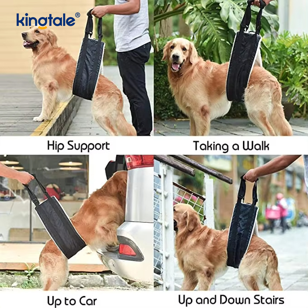 Chicote de fios sustentável contínuo personalizado do elevador do cão do estilingue portátil do cão para animais de estimação