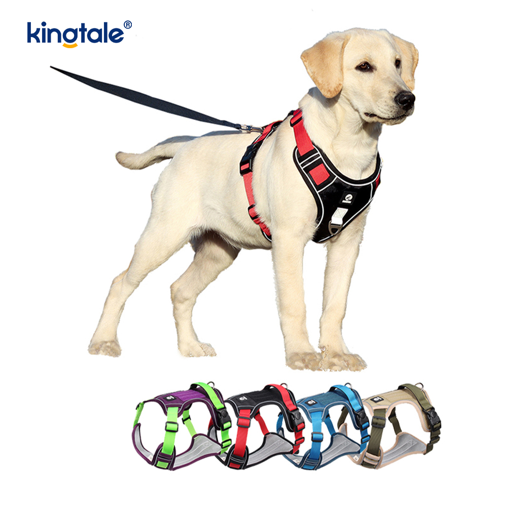 Arnês esportivo respirável ajustável reflexivo de rebite de nylon com trela de cachorro