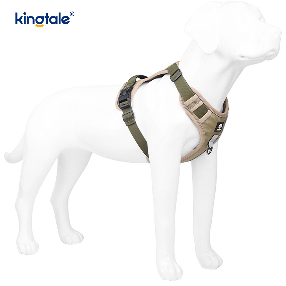 Arnês esportivo respirável ajustável reflexivo de rebite de nylon com trela de cachorro