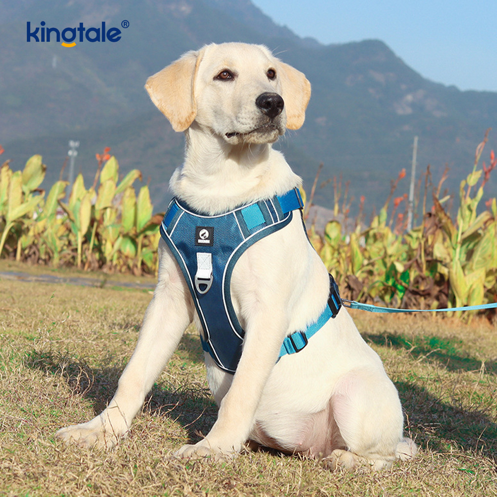 Arnês esportivo respirável ajustável reflexivo de rebite de nylon com trela de cachorro