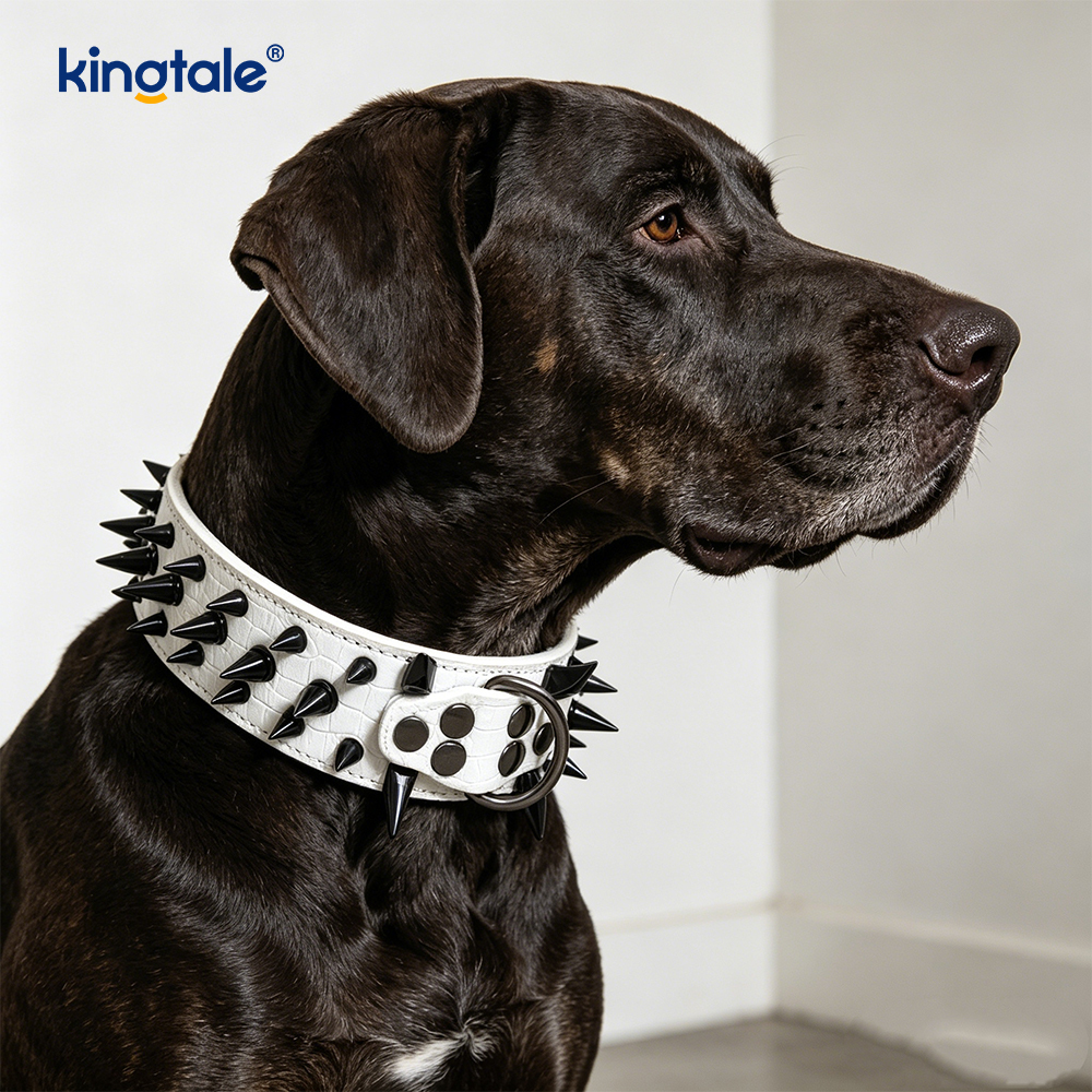 Coleira de cachorro cravejada com pontas afiadas Coleiras de couro elegantes para cães