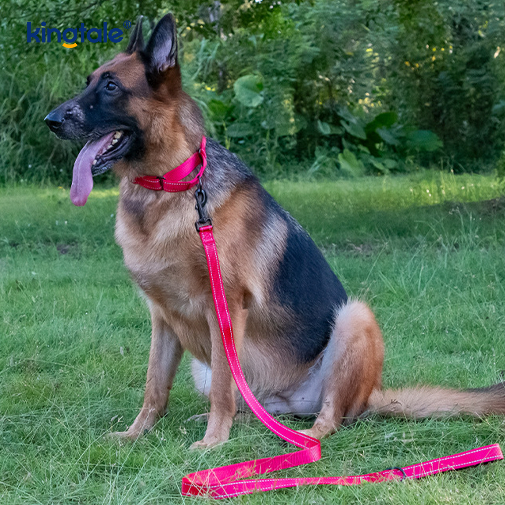 Coleira de cachorro Martingale de nylon ajustável reflexiva de liberação rápida sem tração