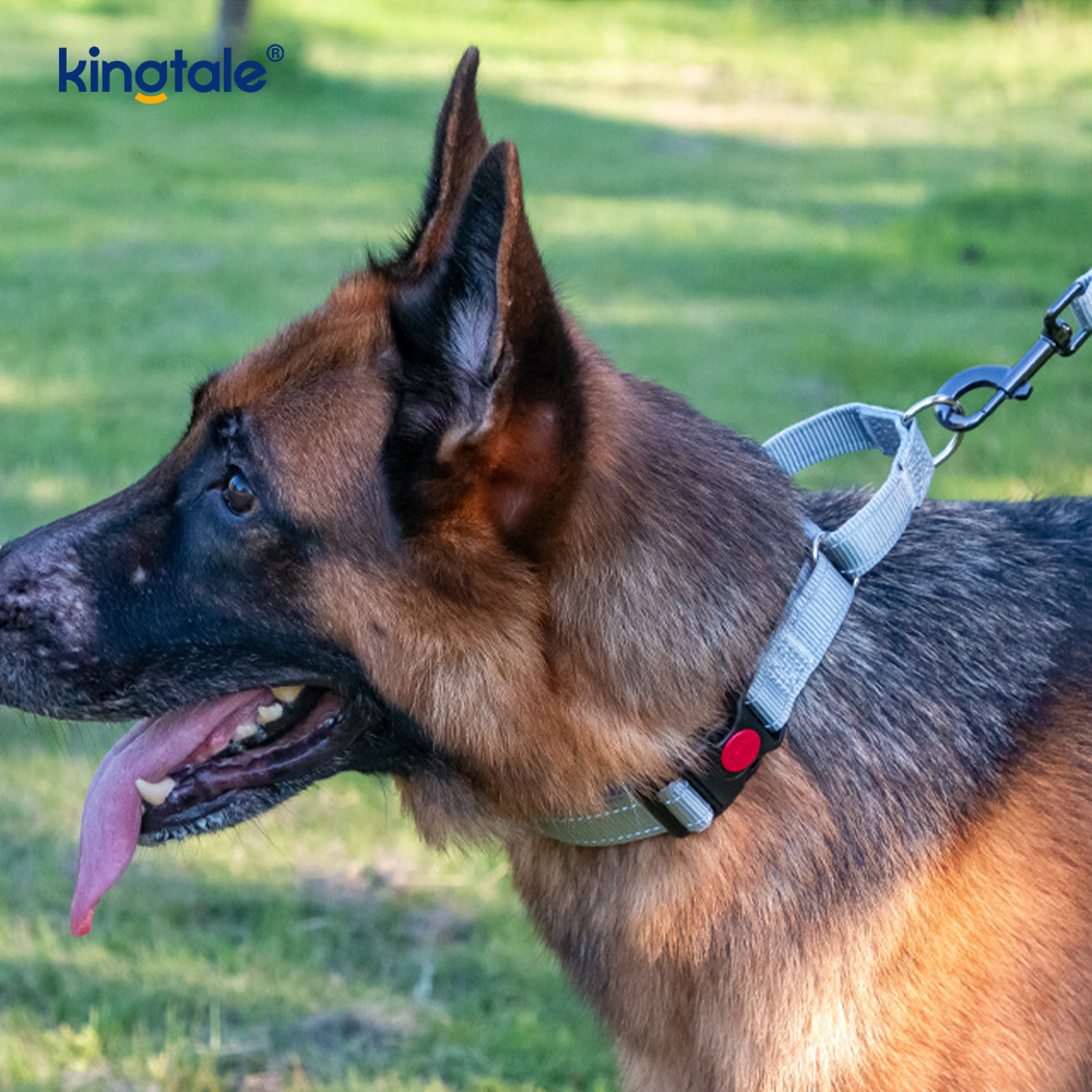 Coleira de cachorro Martingale de nylon ajustável reflexiva de liberação rápida sem tração