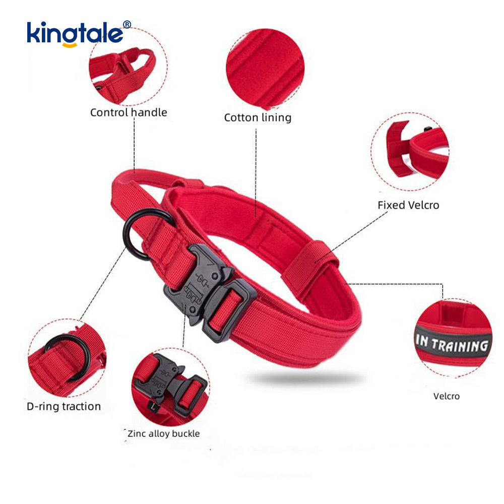 Coleira com fivela de metal com alça de controle de nylon CutsomTraining
