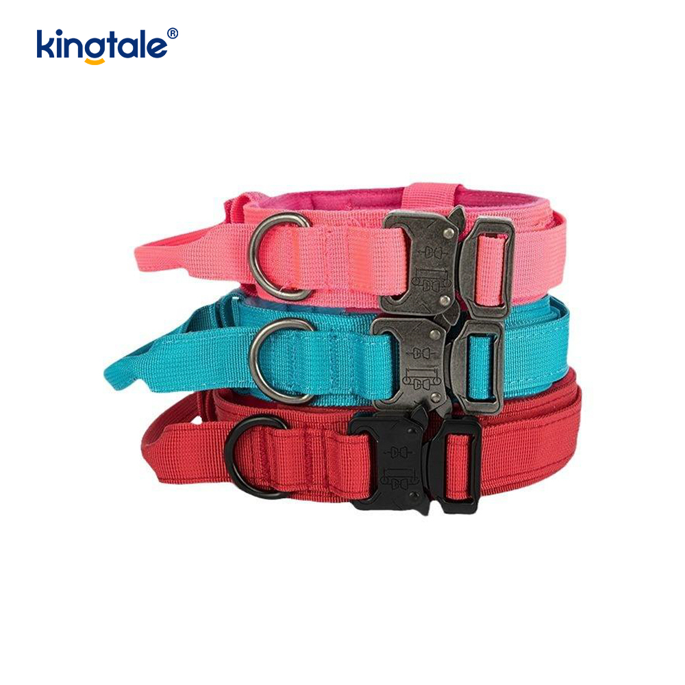 Coleira com fivela de metal com alça de controle de nylon CutsomTraining