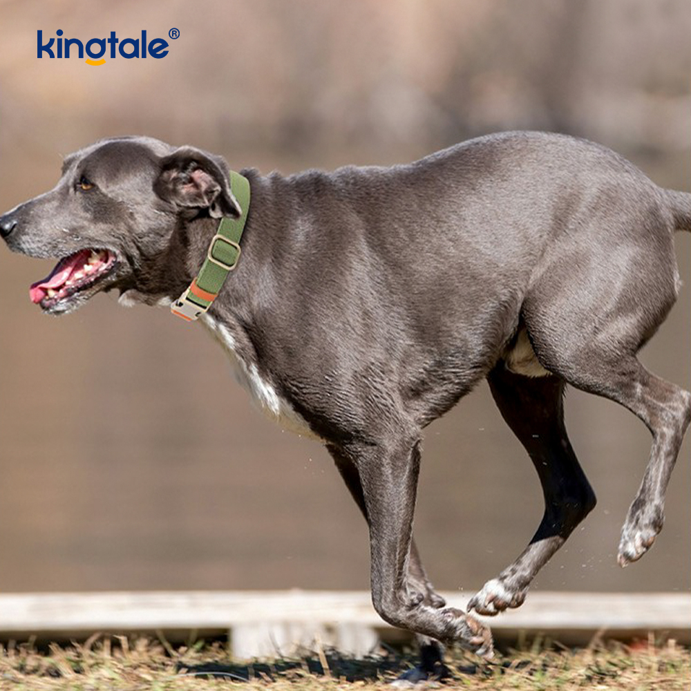 Coleira para cães de cânhamo natural, durável e divertida, não restritiva