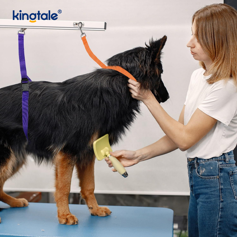 Correia de segurança ajustável com trela de retenção para cuidados com animais de estimação no atacado