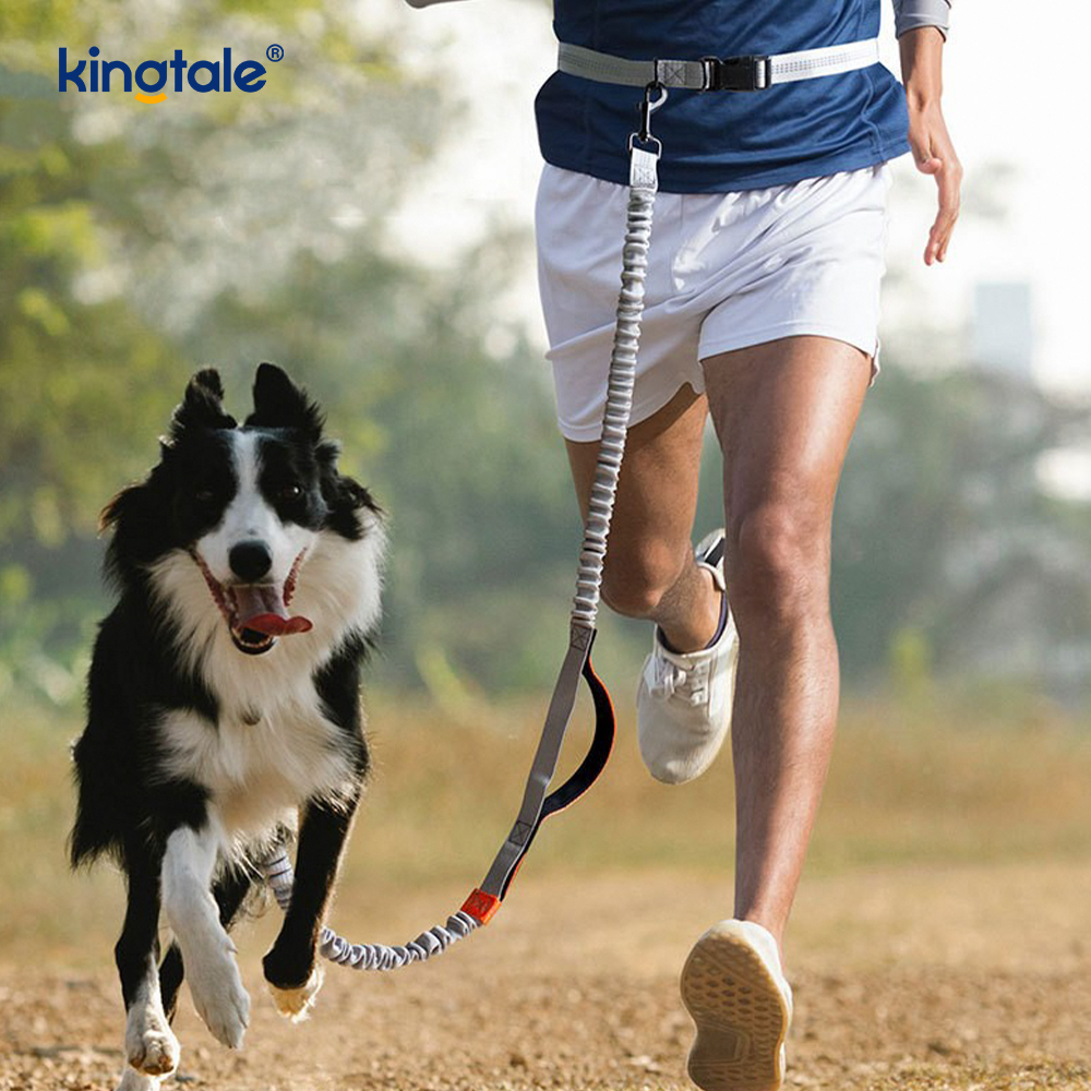 Trela ​​reflexiva dupla retrátil para cães Amazon para corrida ao ar livre