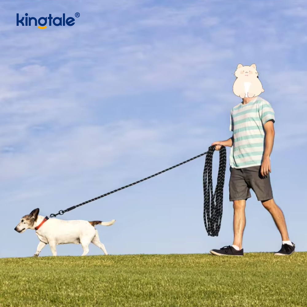 Coleira de nylon com estampa de moda reflexiva para cães, coleiras para animais de estimação recém-chegadas