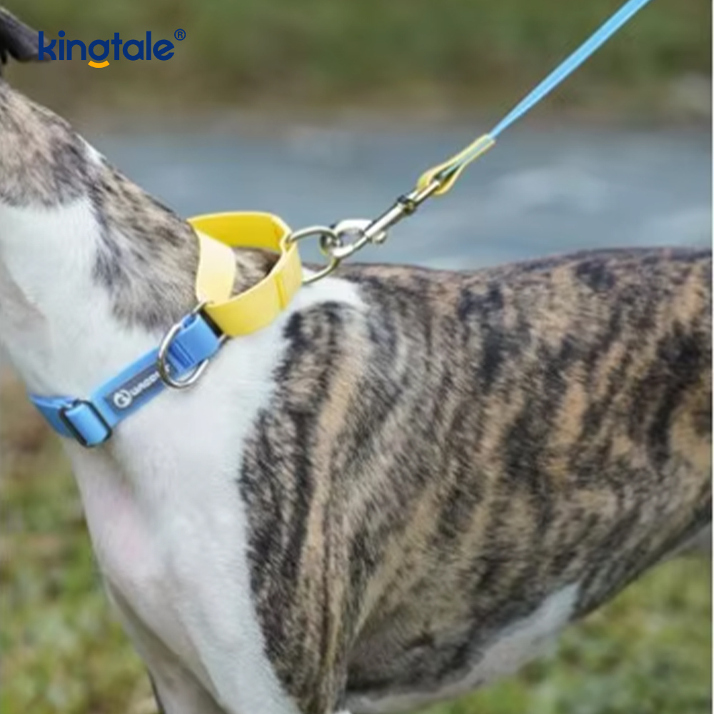 Coleira de cachorro à prova d'água, moda luxuosa, suprimentos para animais de estimação de nylon simples