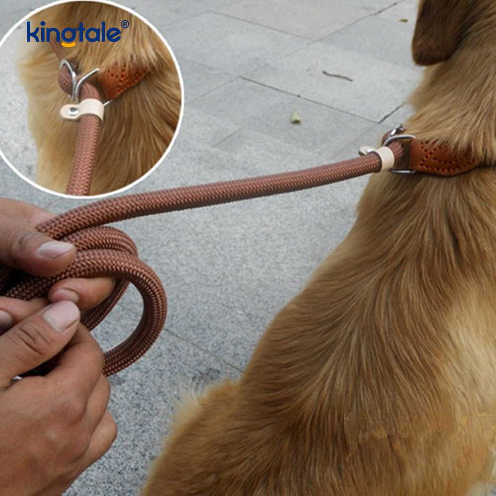 Trela ​​P extra longa e grossa anti-tração para trela deslizante de treinamento de cães