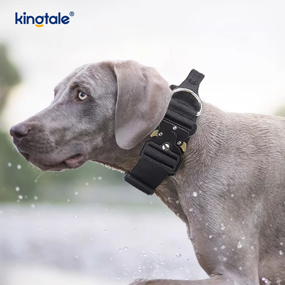 Conjunto de arnês de trela para coleira de cachorro de treinamento de nylon sem puxar com controle