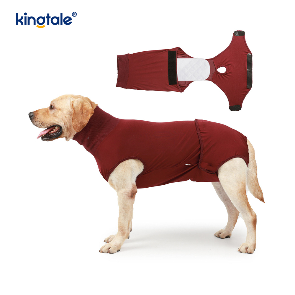 Roupa cirúrgica para recuperação de cachorro, roupa cirúrgica para ferida abdominal, colete pós-operatório