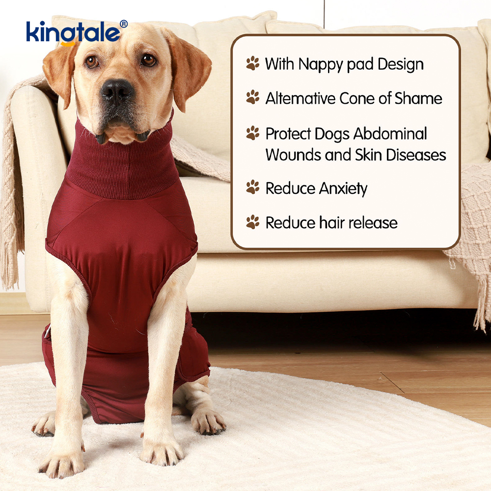 Roupa cirúrgica para recuperação de cachorro, roupa cirúrgica para ferida abdominal, colete pós-operatório